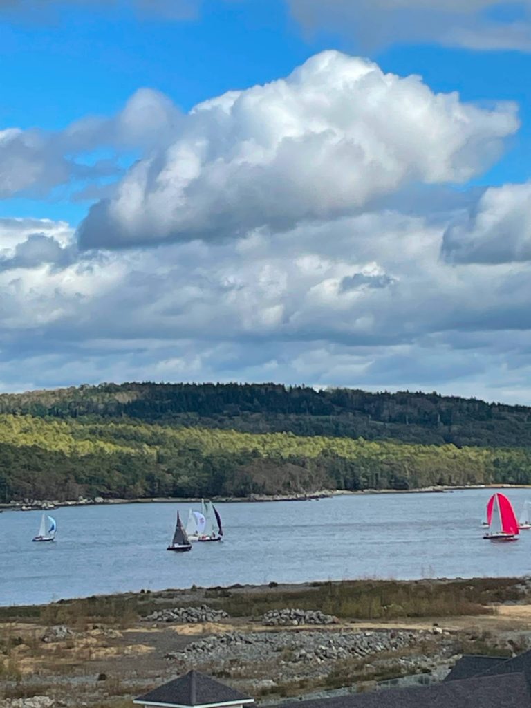 Photo of sailing in Bedford Basin